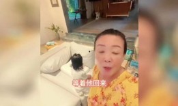 兰姐爆料孙女哭了吗视频